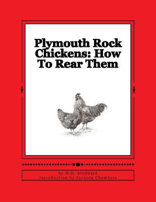 Plymouth Rock Chickens: How To Rear Them: Chick... 1536852074 Book Cover