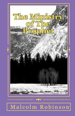 The Ministry of The Prophet: The Protector of t... 145154572X Book Cover