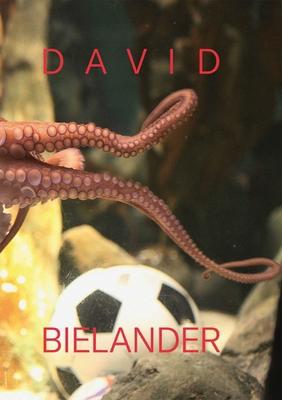 David Bielander: Twenty Years. 2016-1996 389790487X Book Cover