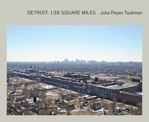 Julia Reyes Taubman: Detroit: 138 Square Miles 0982389604 Book Cover