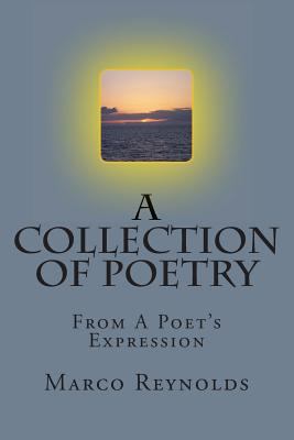 A Collection of Poetry: From A Poet's Expression 1484834887 Book Cover