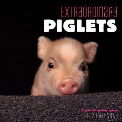 Extraordinary Piglets 2012 Mini Wall Calendar 0810998696 Book Cover