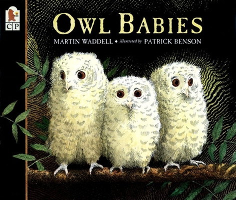Owl Babies 0763617105 Book Cover