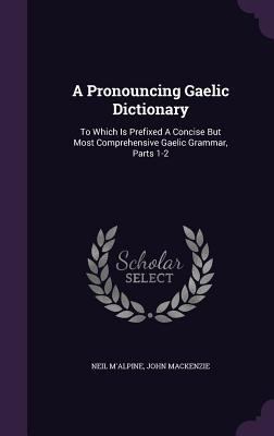 A Pronouncing Gaelic Dictionary: To Which Is Pr... 1340671840 Book Cover