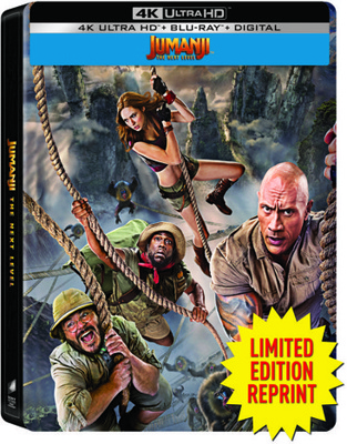 Jumanji: The Next Level Book Cover