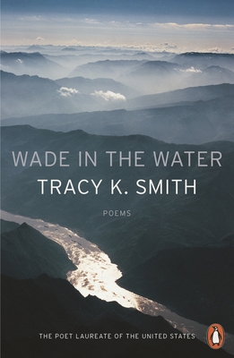 Wade in the Water 0141987847 Book Cover