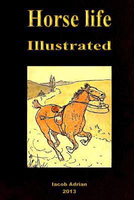 Horse life Illustrated 1495337251 Book Cover
