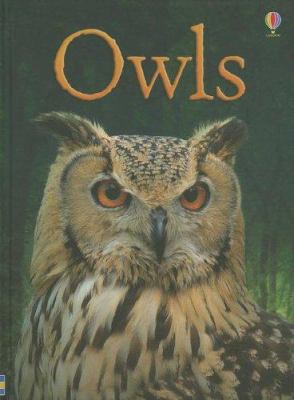 Owls (Usborne Beginners) 0794534015 Book Cover