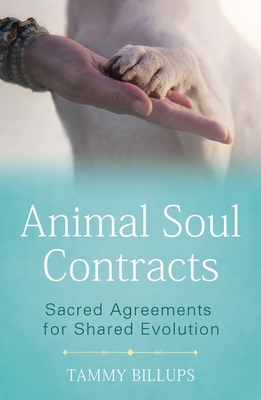 Animal Soul Contracts: Sacred Agreements for Sh... 1591433649 Book Cover
