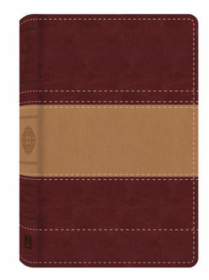 Study Bible-KJV 162416658X Book Cover