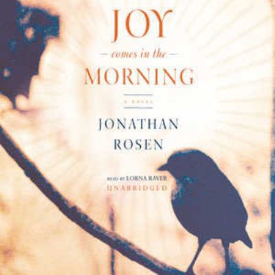 Joy Comes in the Morning 078618583X Book Cover