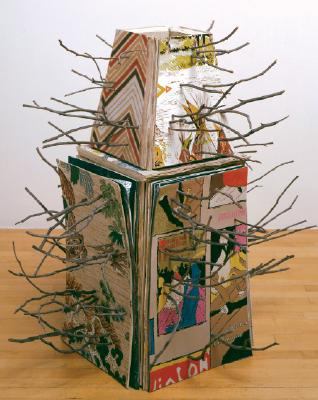 Lisa Lapinski: MOCA Focus 1933751118 Book Cover