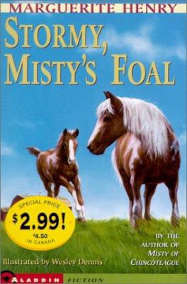 Stormy, Misty's Foal 0689845170 Book Cover