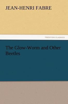 The Glow-Worm and Other Beetles 3847223453 Book Cover