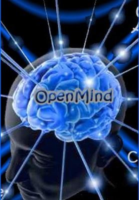 OpenMind 1447660242 Book Cover