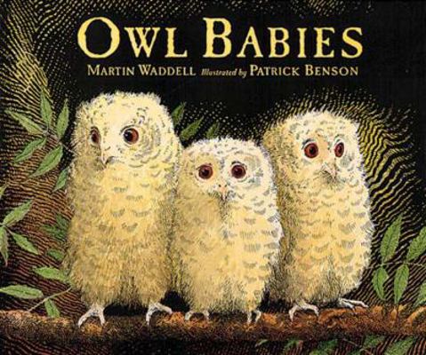 Owl Babies 1564021017 Book Cover