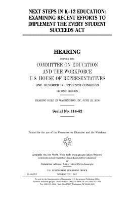 Next steps in K-12 education: examining recent ... 1979778299 Book Cover