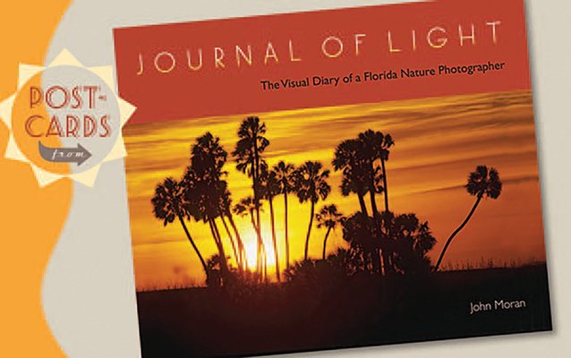 Postcards from Journal of Light 081304412X Book Cover