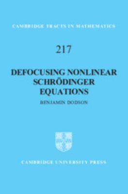 Defocusing Nonlinear Schrödinger Equations 1108472087 Book Cover