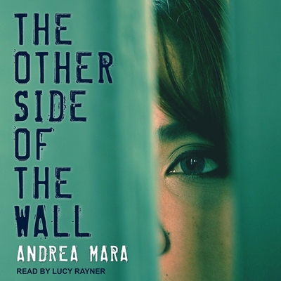 The Other Side of the Wall B08ZB19BH5 Book Cover