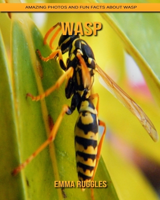 Wasp: Amazing Photos and Fun Facts about Wasp