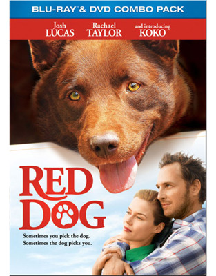 Red Dog            Book Cover
