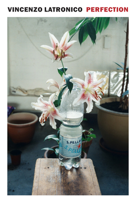 Perfection 1681378728 Book Cover