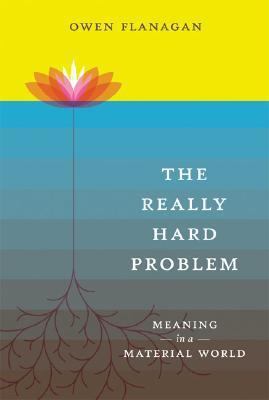 The Really Hard Problem: Meaning in a Material ... 026206264X Book Cover