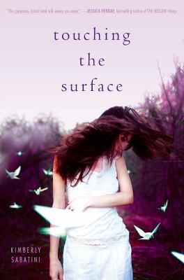 Touching the Surface 144244004X Book Cover