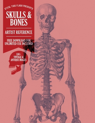 Skulls & Bones: Steal This Flash Presents - Art... B0BFV2CCTH Book Cover