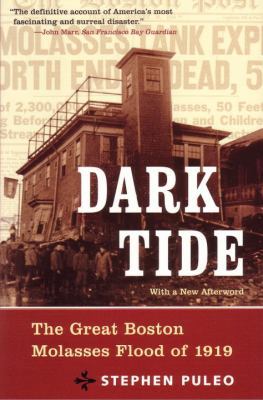 Dark Tide: The Great Boston Molasses Flood of 1919 0807050202 Book Cover