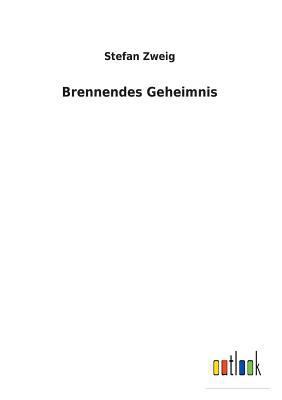 Brennendes Geheimnis [German] 3732618145 Book Cover