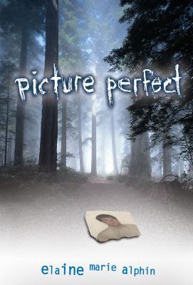 Picture Perfect 0822564688 Book Cover