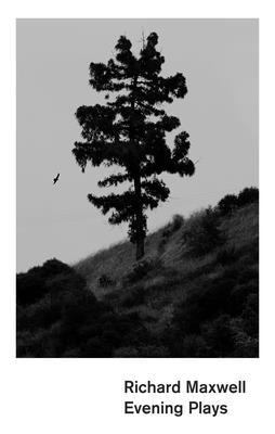 Evening Plays 1559365811 Book Cover