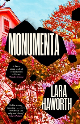 Monumenta 1805301969 Book Cover