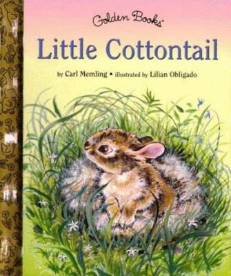 Little Cottontail 0307161587 Book Cover