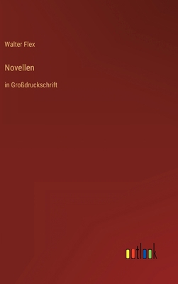 Novellen: in Großdruckschrift [German] 3368477110 Book Cover