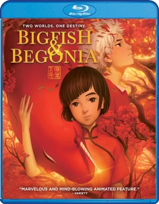 Big Fish & Begonia            Book Cover