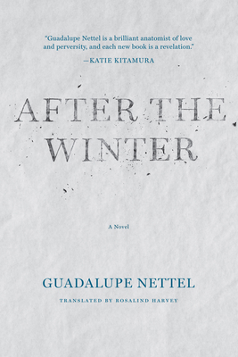 After the Winter 1566895251 Book Cover