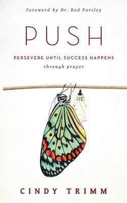 Push 0768413435 Book Cover