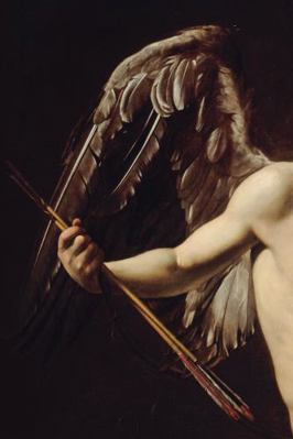 Hardcover Of Bone and Pinion Book