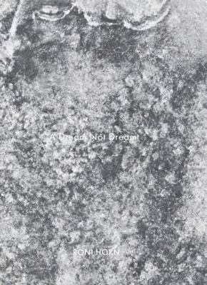 Roni Horn: A Dream Not Dreamt 3969993970 Book Cover