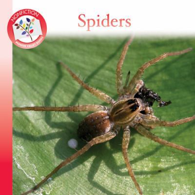Spiders 1603430148 Book Cover