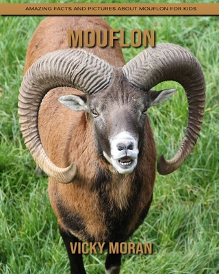 Paperback Mouflon: Amazing Facts and Pictures about Mouflon for Kids [Large Print] Book