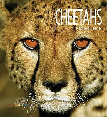 Cheetahs 1583417370 Book Cover