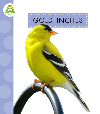Goldfinches B0FBQHYNB7 Book Cover
