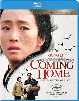 Coming Home B01ABD498Y Book Cover
