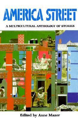 America Street: A Multicultural Anthology of St... 0785719016 Book Cover