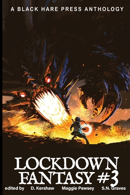 Lockdown Fantasy #3 0645073911 Book Cover