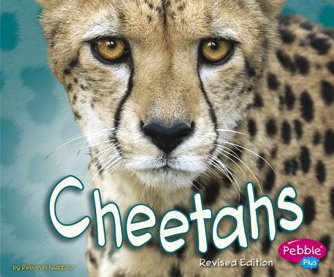 Cheetahs 1515761959 Book Cover